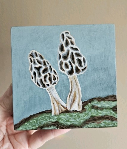 Morel mushroom original - mushroom,